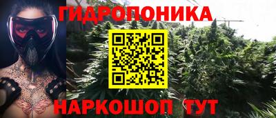 прущие грибы Старая Купавна