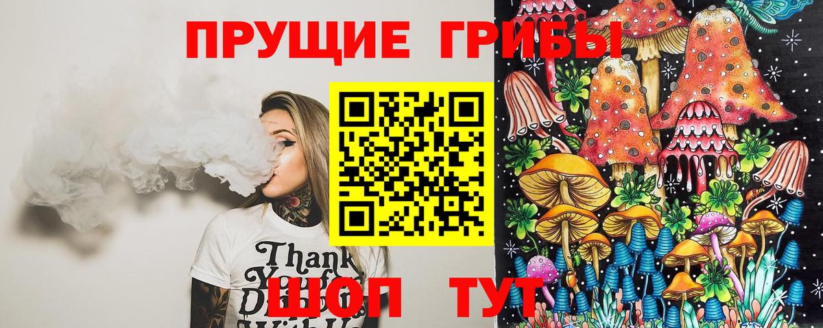 продажа наркотиков  Псилоцибиновые грибы GOLDEN TEACHER  Новошахтинск  Вход с VPN  Псилоцибиновые грибы прущие грибы 