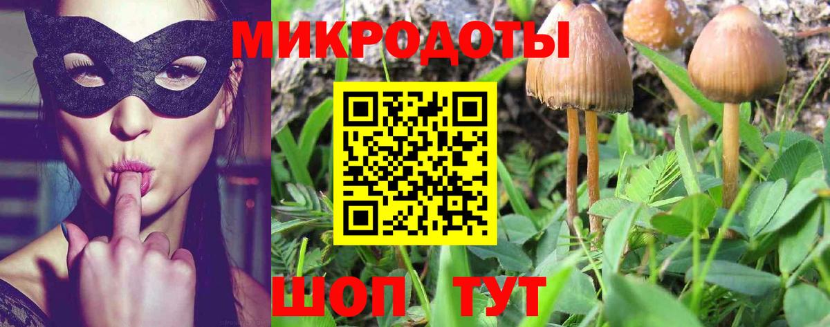 Галлюциногенные грибы ЛСД Новошахтинск